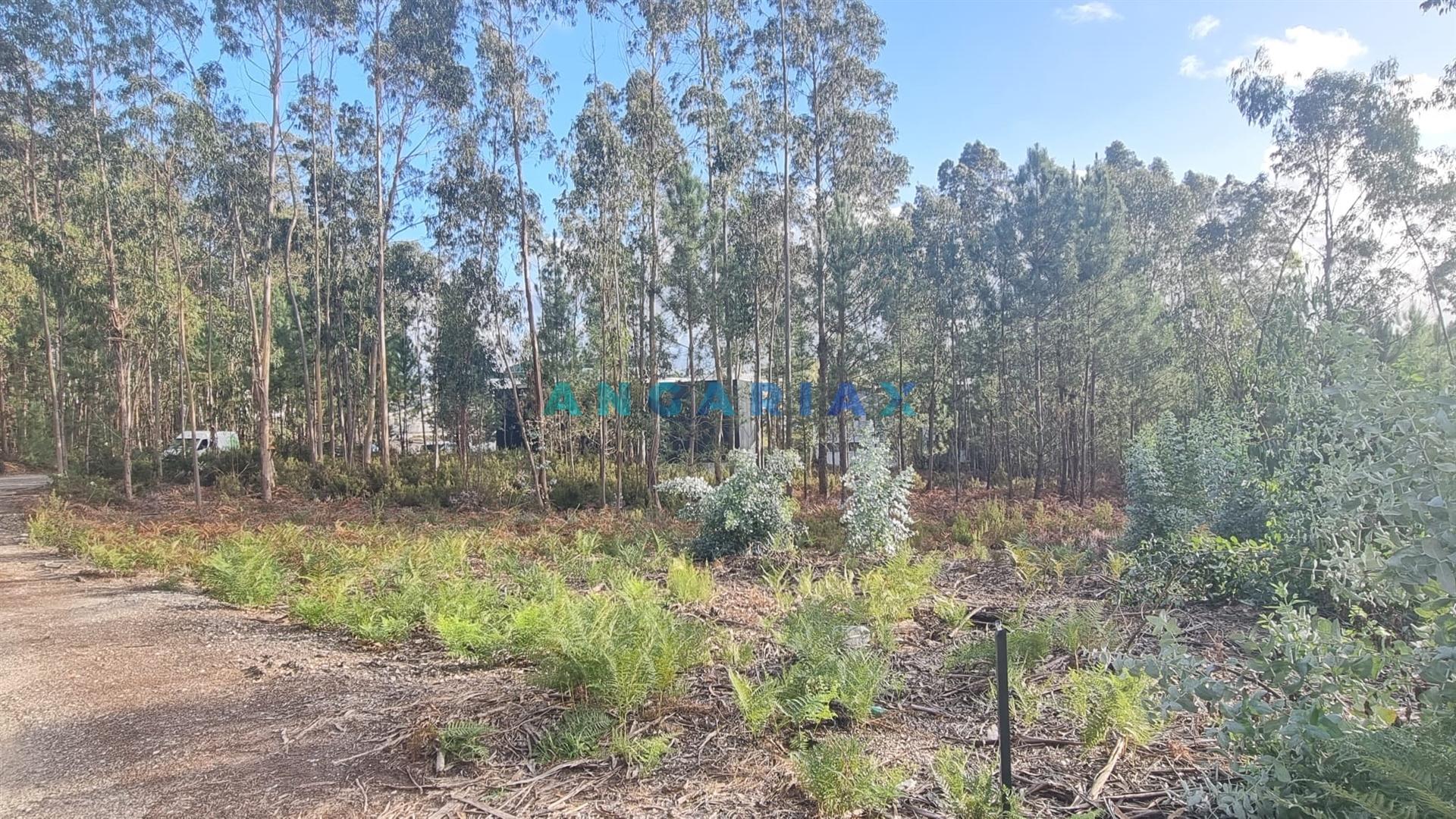 ANG1235 - Terreno para Venda em Leiria