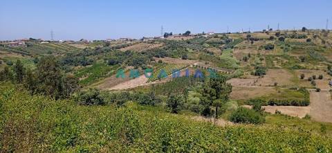 ANG1487 - Terreno para Venda em Batalha