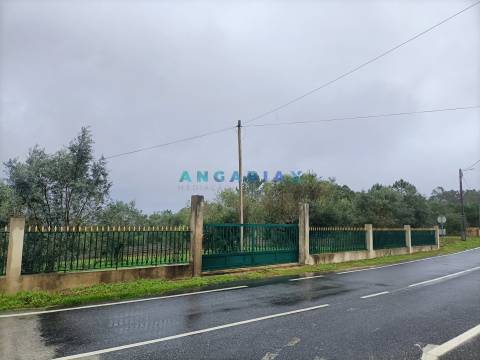 ANG1576 - Terreno para Venda em Chainça, Leiria