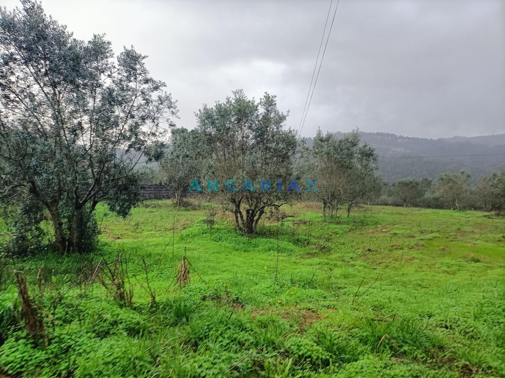 ANG1576 - Terreno para Venda em Chainça, Leiria