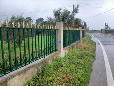 ANG1576 - Terreno para Venda em Chainça, Leiria