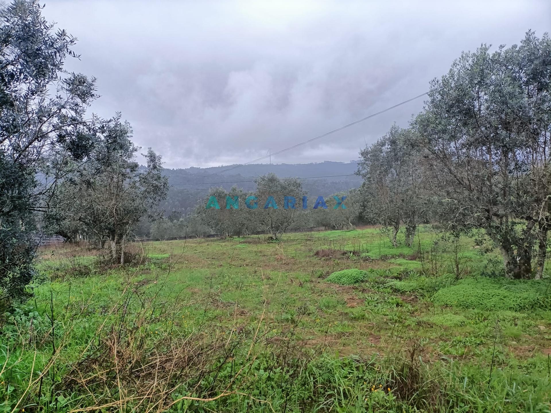ANG1576 - Terreno para Venda em Chainça, Leiria