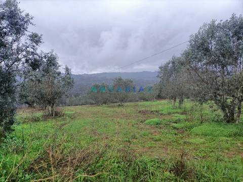 ANG1576 - Terreno para Venda em Chainça, Leiria