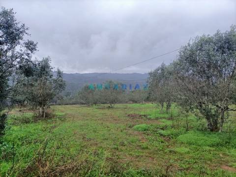 ANG1576 - Terreno para Venda em Chainça, Leiria