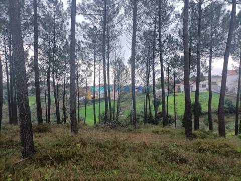 ANG1577 - Terreno para Venda em Chainça, Leiria