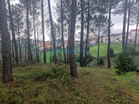 ANG1577 - Terreno para Venda em Chainça, Leiria