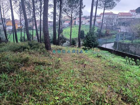 ANG1577 - Terreno para Venda em Chainça, Leiria