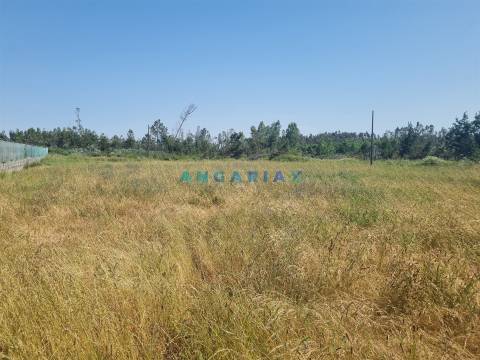 ANG1605 - Terreno para Venda em Maceira, Leiria