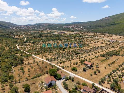 ANG1641 - Moradia T2 para Venda em Serro Ventoso, Porto de Mós