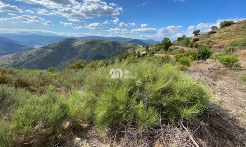 Terreno 21900m² - Tabuaço