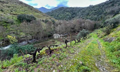 Terreno agrícola 71.790m² - Tabuaço