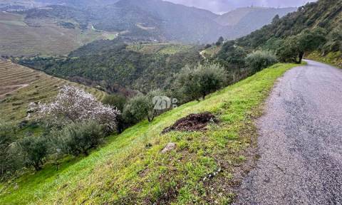 Terreno agrícola 71.790m² - Tabuaço