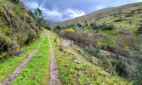 Terreno agrícola 71.790m² - Tabuaço