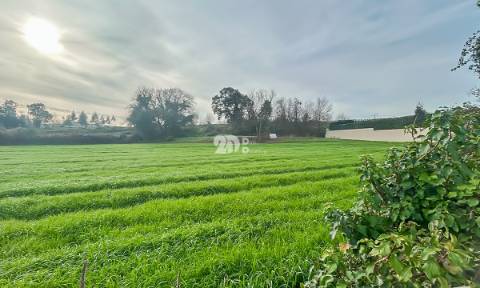 Terreno 10.000m² - Lemenhe
