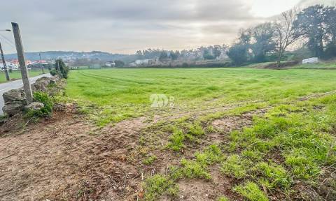 Terreno 10.000m² - Lemenhe