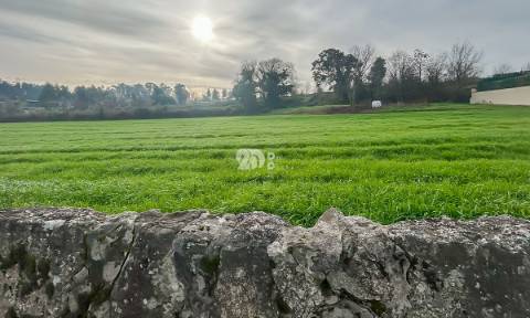 Terreno 10.000m² - Lemenhe