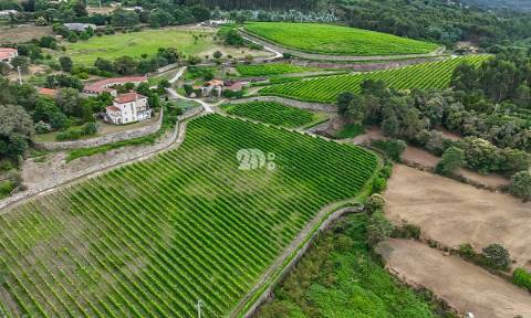 Quinta 80.000m² - Monte Córdova