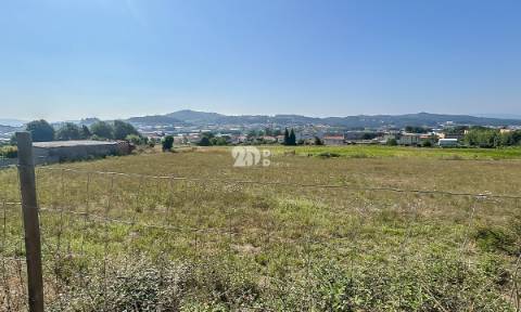 Terreno 7769m² - Joane