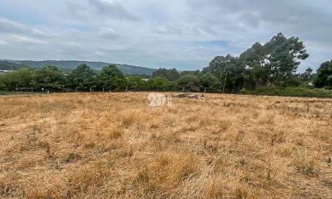 Lote de terreno 5000m² - Calendário