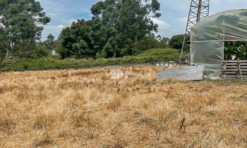 Lote de terreno 5000m² - Calendário