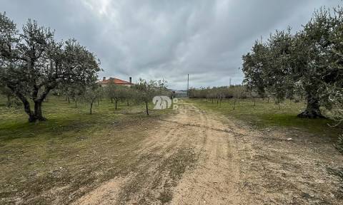 Terreno 5860m² - Pinheiros