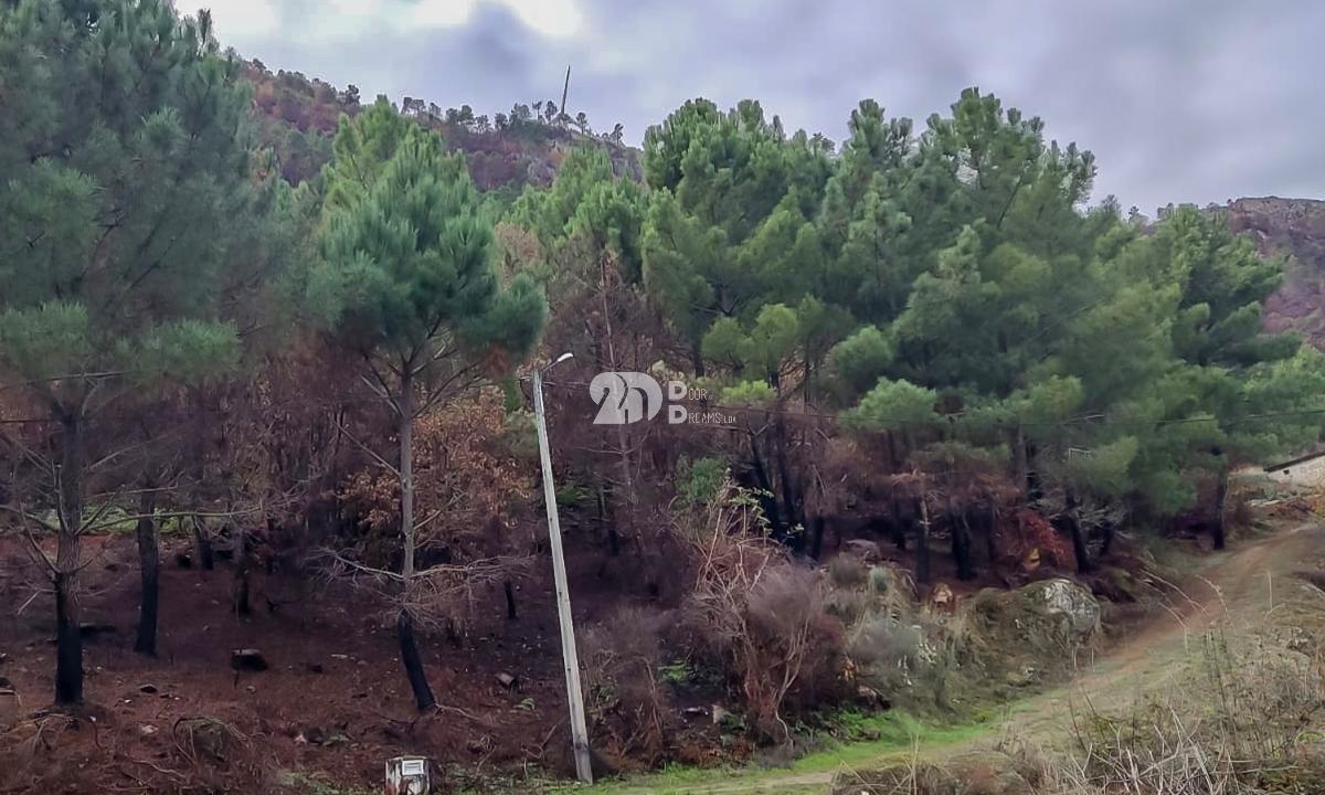 Terreno 7009m² - Távora