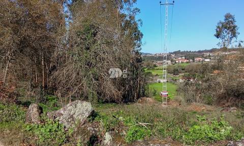 Quinta 40.019m² - Arnoso Stª Eulália
