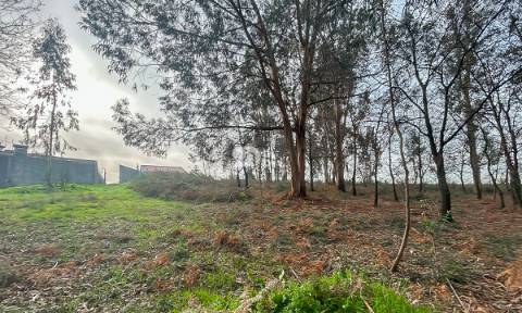 Terreno 2400m² - Louro