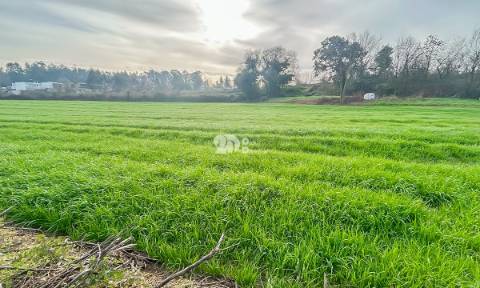 Terreno 4500m² - Lemenhe