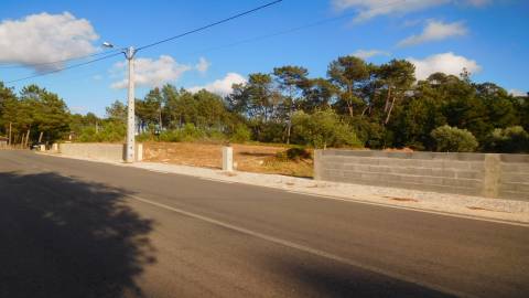 Terreno, Bajouca