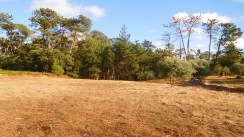 Terreno, Bajouca