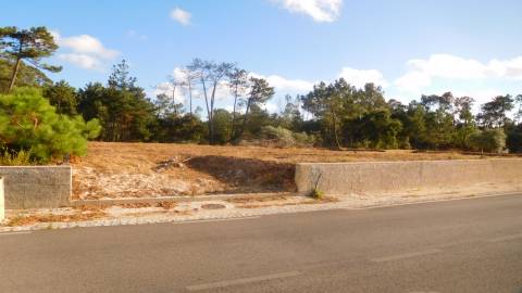 Terreno, Bajouca