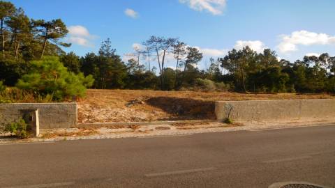 Terreno, Bajouca