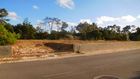 Terreno, Bajouca