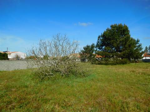 2 Moradias para reconstruir + Terreno 3700m2  / Comeira / Marinha Grande