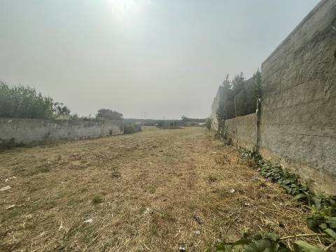 Terreno plano para construção / 5020 m2 / Gândara dos Olivais / Leiria