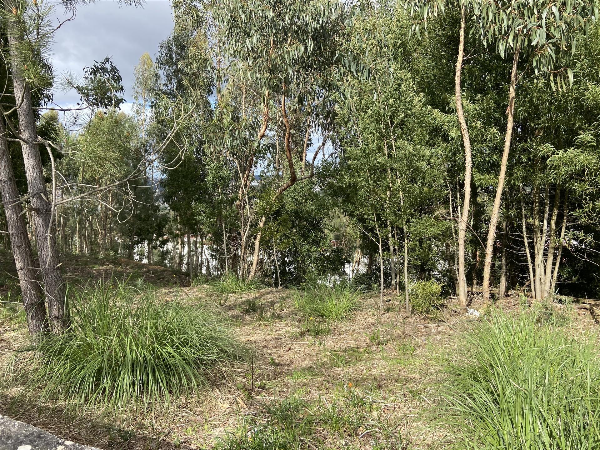 Terreno  Venda em Leiria, Pousos, Barreira e Cortes,Leiria
