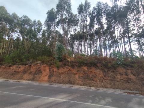 Terreno / Construção / Lameiras / Caranguejeira