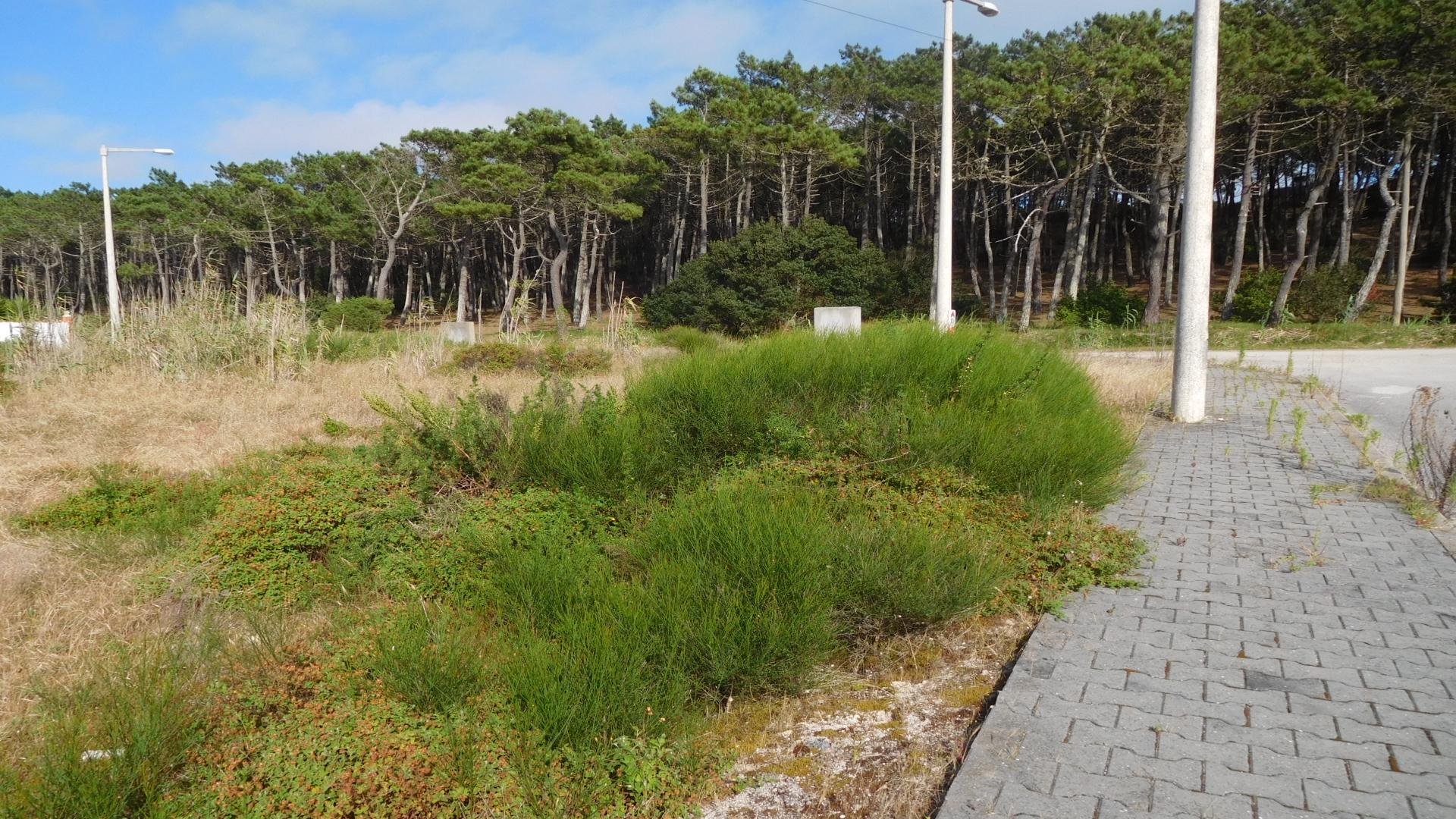Lote de Terreno  Venda em Coimbrão,Leiria