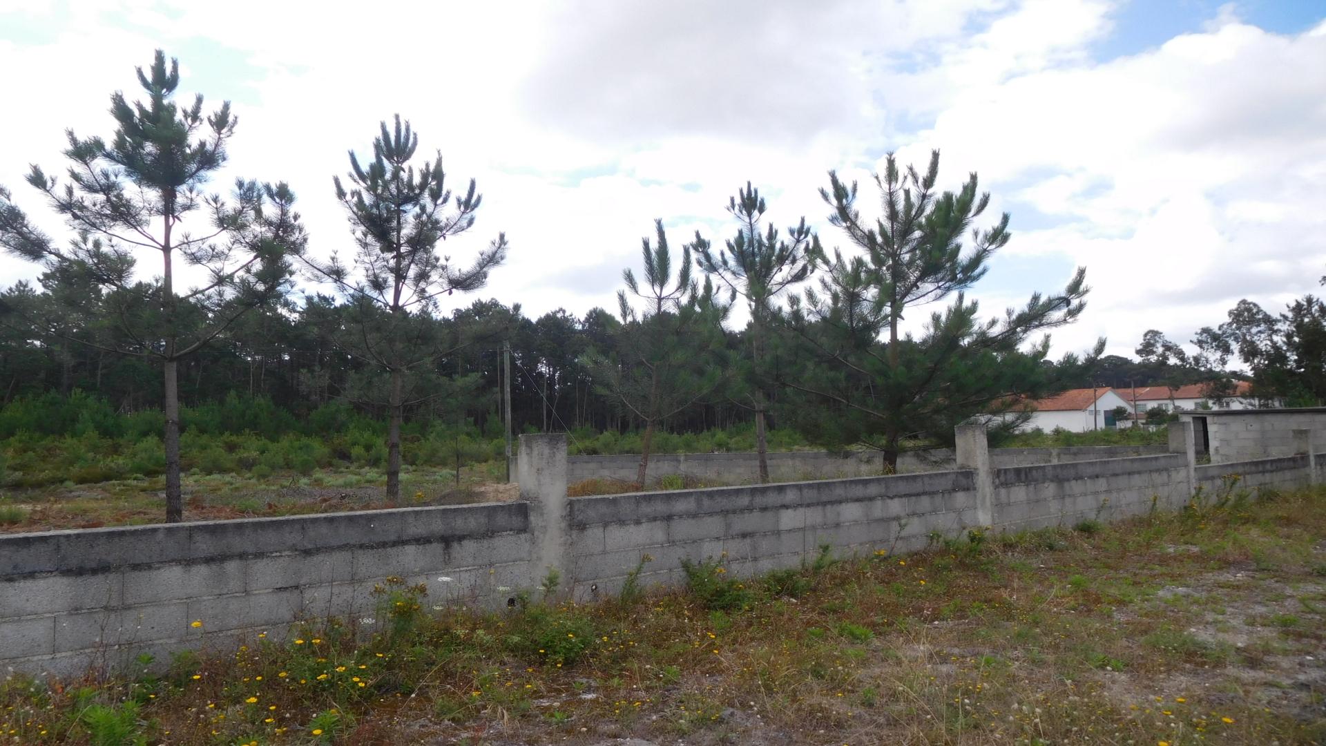 Lote de Terreno  Venda em Monte Redondo e Carreira,Leiria