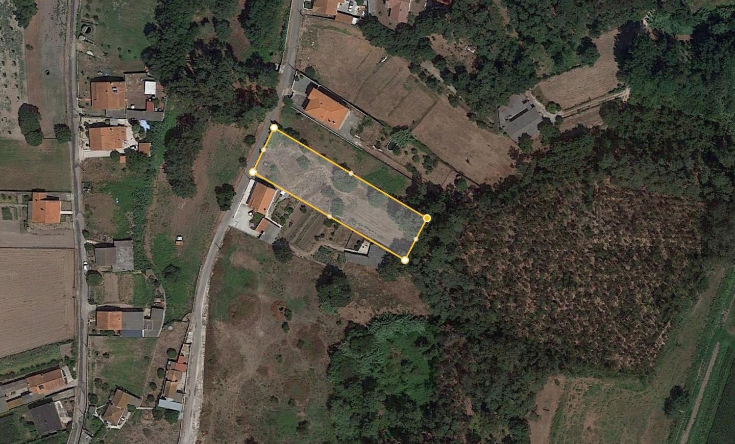 Terreno / Monte Real / Leiria