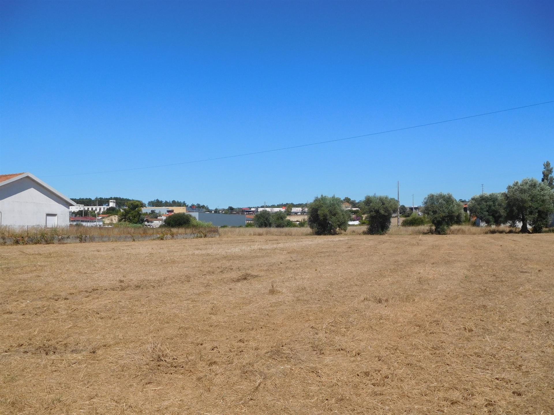 Terreno  Venda em Marrazes e Barosa,Leiria