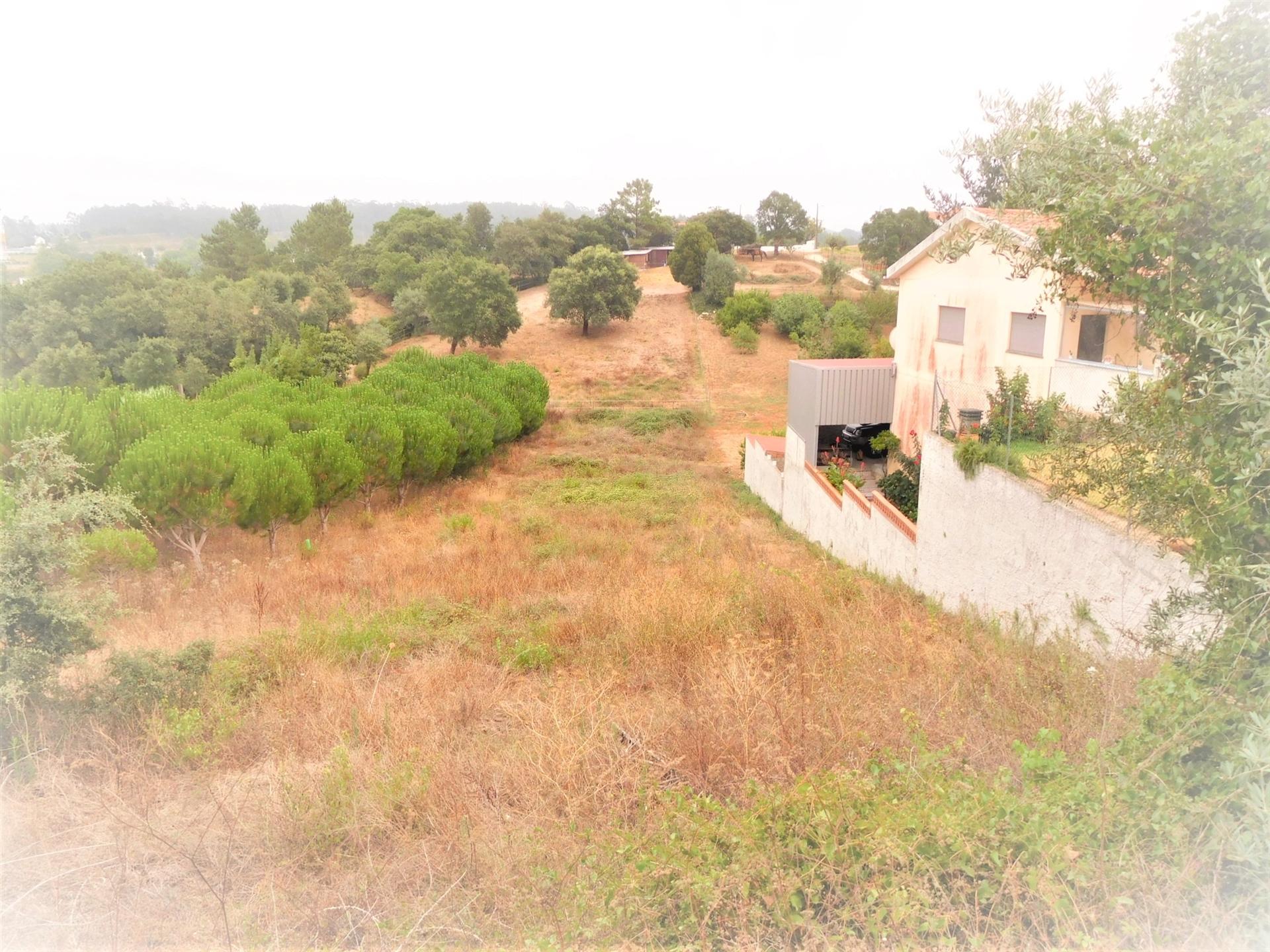 Lote de terreno