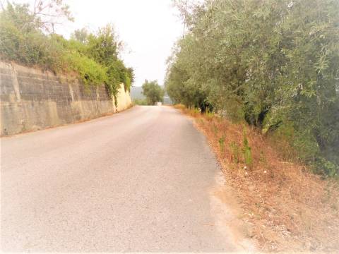 Lote de terreno