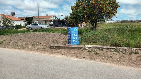 Terreno plano para construção / 7 900 m2 / Amor / Leiria