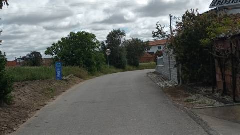 Terreno plano para construção / 7 900 m2 / Amor / Leiria