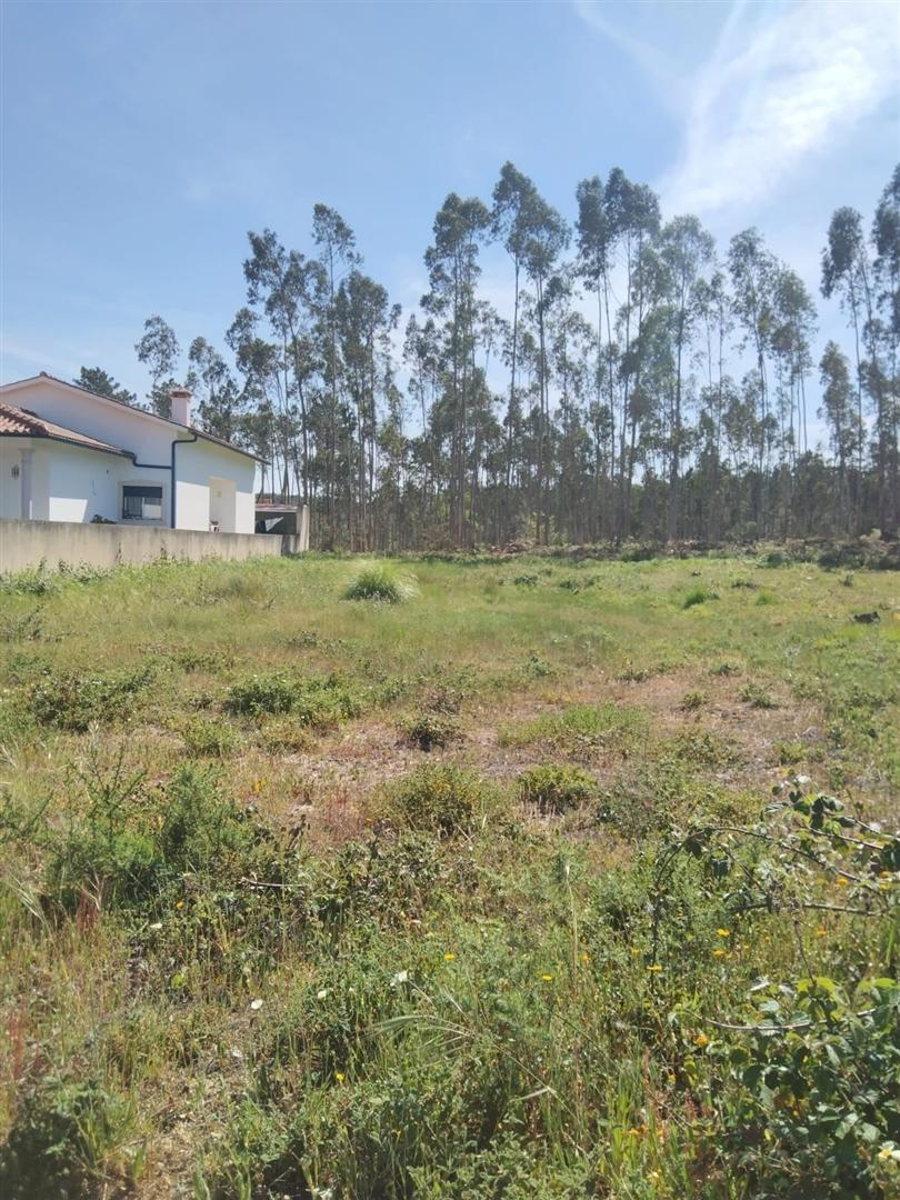 Terreno para construção / 722m2 / Barosa