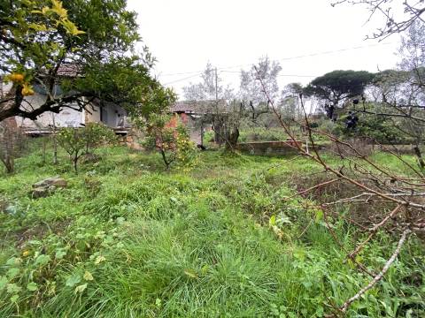 Moradias / São Simão de Litem / Pombal