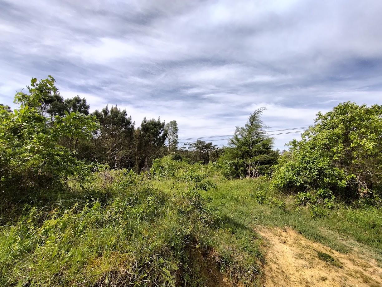 Terreno  Venda em Maiorca,Figueira da Foz