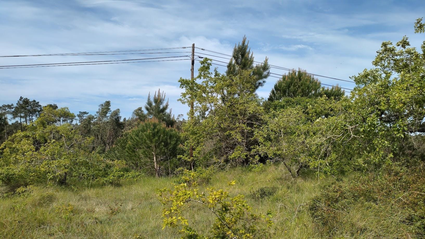 Terreno  Venda em Maiorca,Figueira da Foz